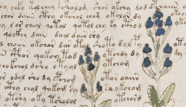 Thumbnail for The Voynich Manuscript: A Centuries-Old Print Riddle